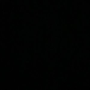 Meet your Posher, Martha